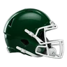 Michigan State