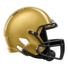 Wake Forest