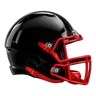 Falcons