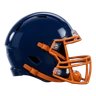 Bears
